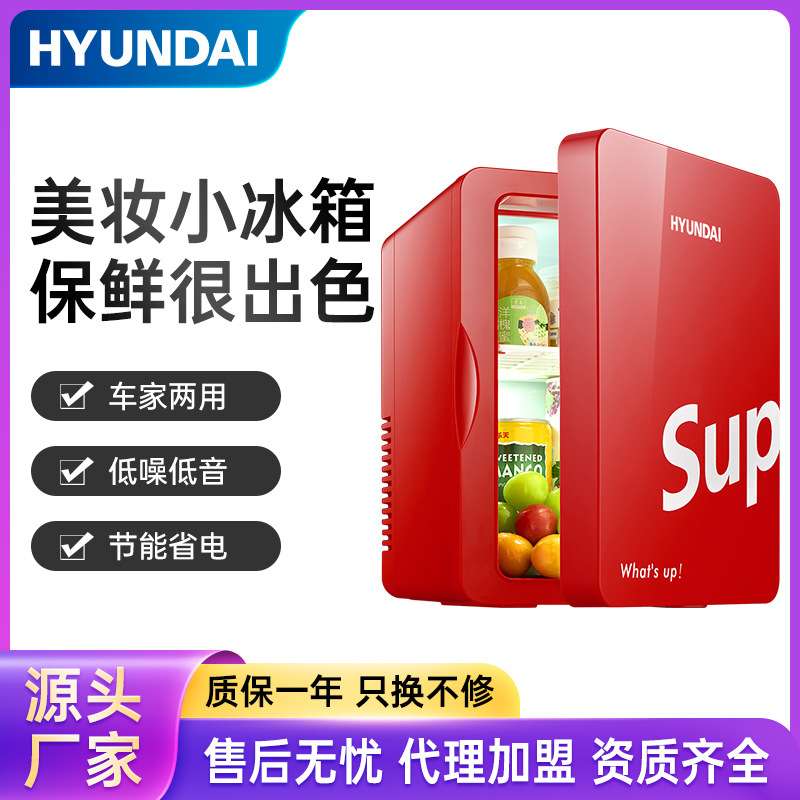 车载6L小冰箱迷你宿舍小型家用车载冰箱车家两用制冷暖器