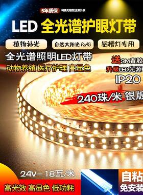 Ra98显全光谱灯带24vLED贴片灯条8mm10mm高亮护眼无频闪线型线条