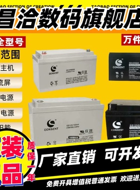 CONSENT光盛蓄电池GS12V65AH100AH38AH24AH17AH12AH9AH直流屏EUPS