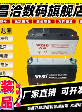 WESD无敌蓄电池WD-12V120A100H65A40H38A33H24A17AH直流屏UPS/EPS