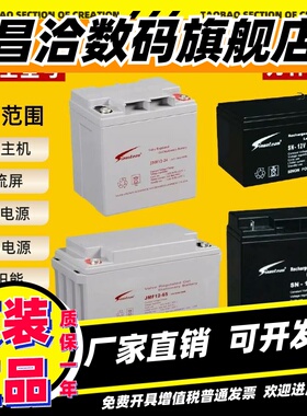 Sinonteam赛能蓄电池12V20AH17A24A40A55A65A100AH消防EUPS直流屏