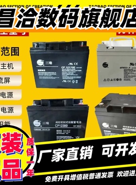 SENRY三瑞蓄电池CP6FM12V100AH65A55A40A38A33A24A17AH直流屏EUPS