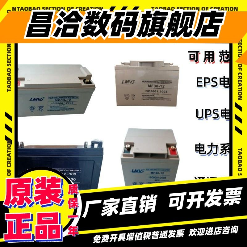 LMV蓄电池LCXA12V100AH80A55A45A38AH17AH直流屏UPS/EPS消防主机