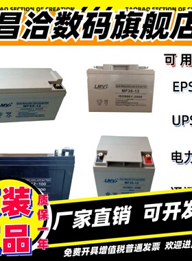 LMV蓄电池LCXA12V100AH80A55A45A38AH17AH直流屏UPS/EPS消防主机