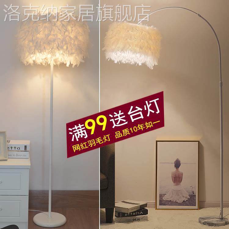 灯具网红白色羽毛水晶立式落地灯客厅书房卧室床头台灯主播补光灯