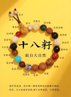 普陀山十八籽菩提手串女款十八子多宝转运佛珠18籽手链生日礼物男