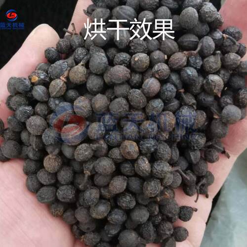 木果姜烘干机 空气能热水泵姜子烘干机 山苍木子山胡椒脱烘干LT-M