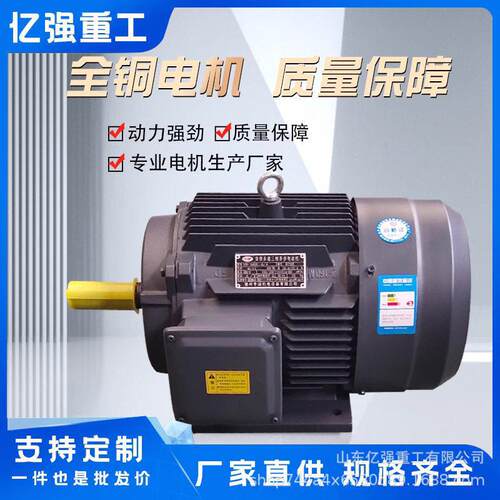 三相异步电动Y94E2系列全国标Y100新L2-4 极3W机千瓦马达380V