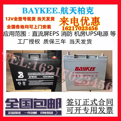 BAYKEE航天柏克蓄电池6FM24/12V24ah38a65ah100ah120a200ah直流屏