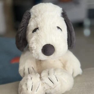 日本史努比博物馆限定可爱人气史努比毛绒玩偶公仔睡觉送女友礼物