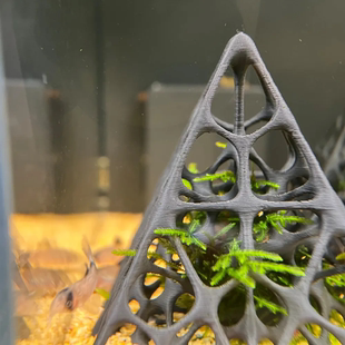 镂空小鱼小虾躲避鱼缸造景黑壳塑料莫斯水鱼虾草房水晶繁殖摆件