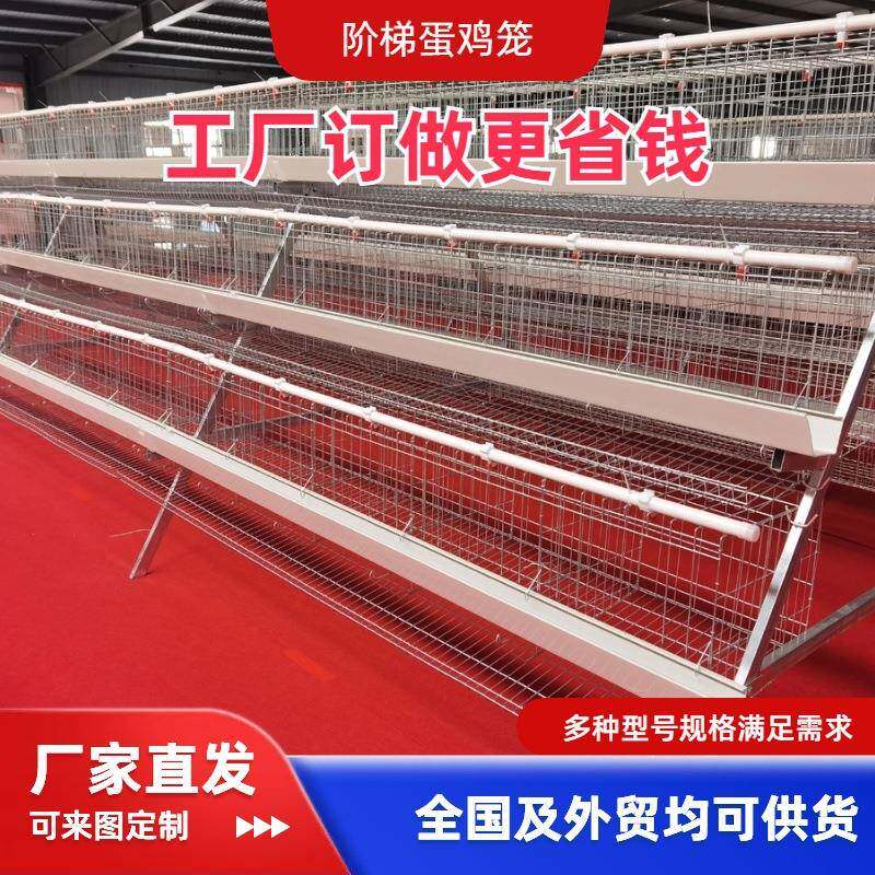 三层五门蛋鸡笼热镀锌材质厂家直供养殖笼养鸡设备阶梯式立体式