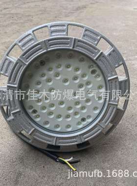 气罐区照明灯50W防爆LED立杆灯EXDIIBT4