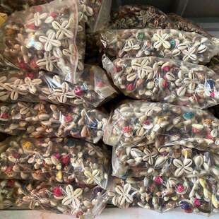 摆设工艺品海边贝壳小乌龟纪念品手工旅游纯天然