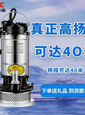 德国进口潜水泵220v污水泵家用抽水小型抽水机高扬程农用灌溉排污