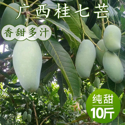 菁果佳广西芒果桂七芒水果甜蜜