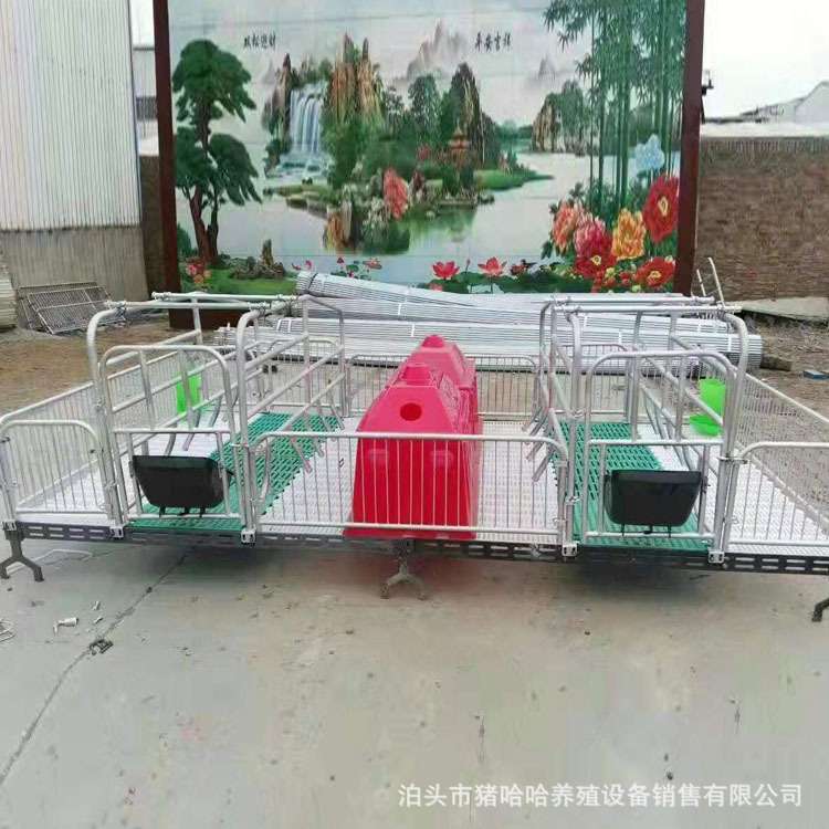 母猪产床双体母猪产床母猪复合板产床猪分娩床双体产床防压杆设计