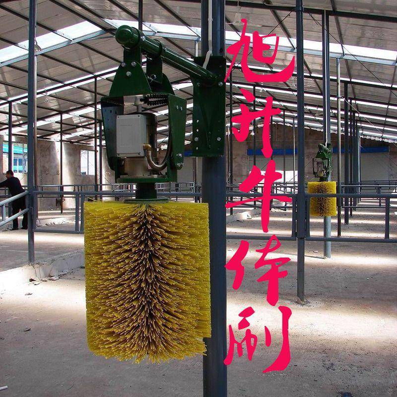 全自动摆动式牛体刷牛体按摩刷刺激奶牛血液循环增加产奶量毛刷