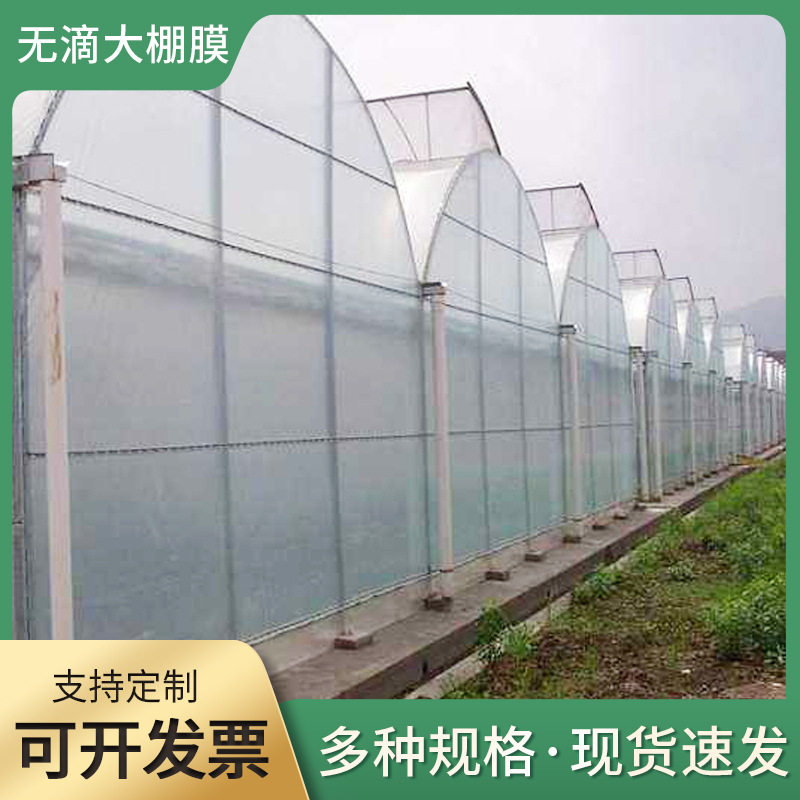 农用塑料无滴薄膜批发 PE透明塑料布温室大棚膜包装加厚农膜