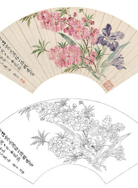 速发工笔画稿描底稿恽寿平没骨扇面实物打印白尺寸可选S0P7