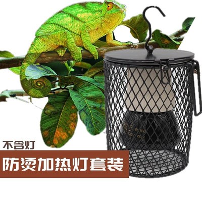 速发爬宠防陶瓷加热灯套装小宠爬行动物爬虫保温灯陶瓷加热灯罩