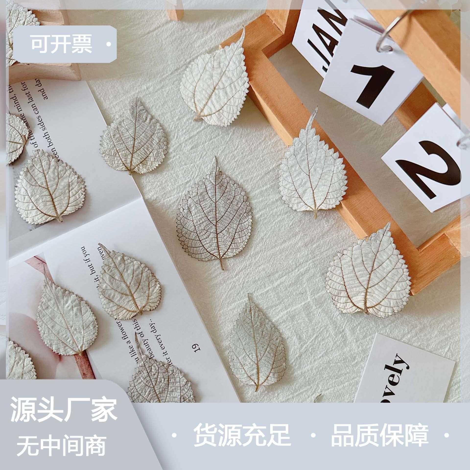 新款直销玉麻叶野麻叶天然植物干花画框装饰diy饰品台灯材料包原