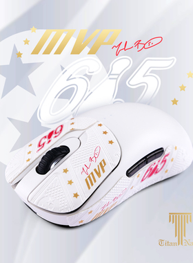 泰坦国度适用于VAXEE蜥蜴皮NP01SW鼠标防滑贴XE/XE-W定制汗贴