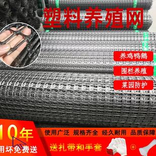 养鸡围栏网防护网格抗晒抗老化户外防护栅栏拦鸡网菜园鱼塘围栏