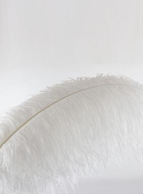 家现7货70-5cm粗鸟杆鸵鸟毛厂EUJ婚庆舞台羽毛灯装饰白色鸵毛