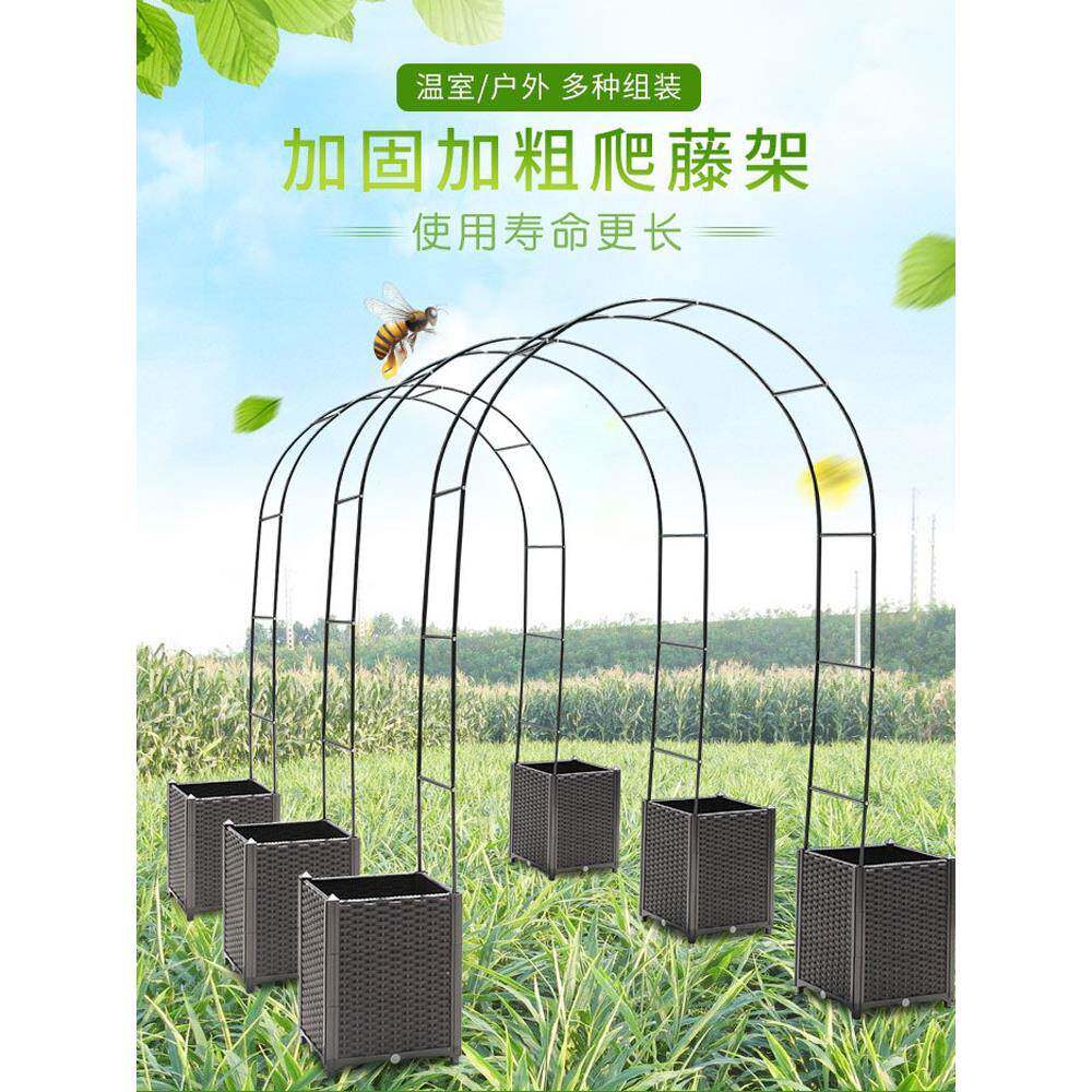 阳台种菜养花庭院葡萄花架种植箱爬藤拱门支架月季三角梅造型支架