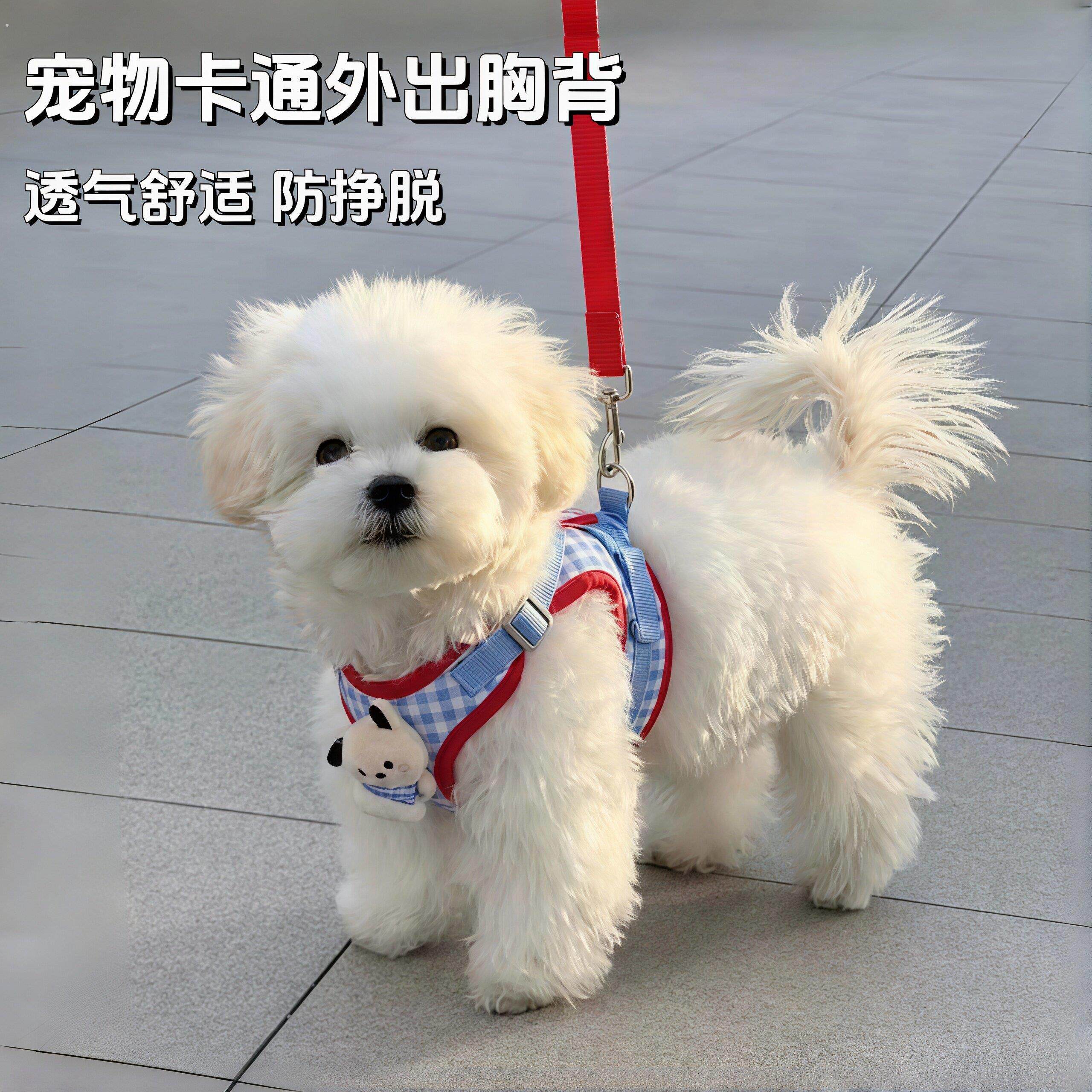 宠物狗狗牵引绳胸背带小型犬脖套防咬背心式遛狗绳防挣脱狗链子