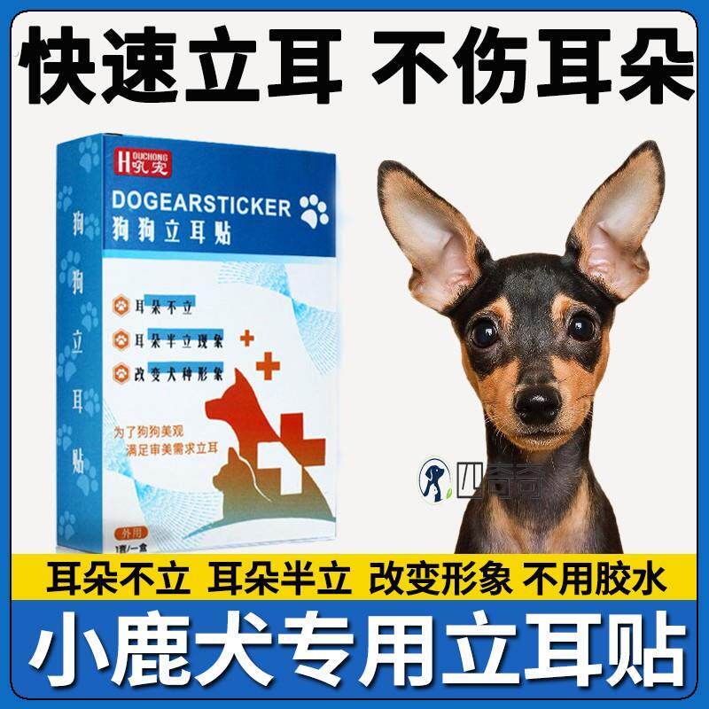 小鹿犬专用狗狗立耳神器辅助耳朵固定器立耳辅助器小狗立耳珠绑耳