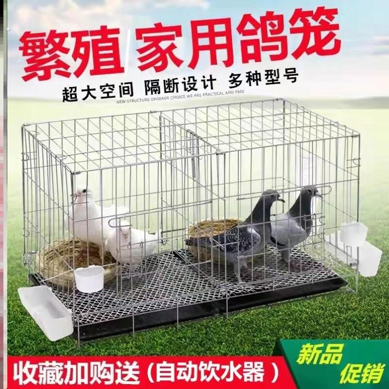 鸽子笼家用养殖笼鸽子配对笼大号鸽子笼家用带隔断繁殖养殖鸽笼清