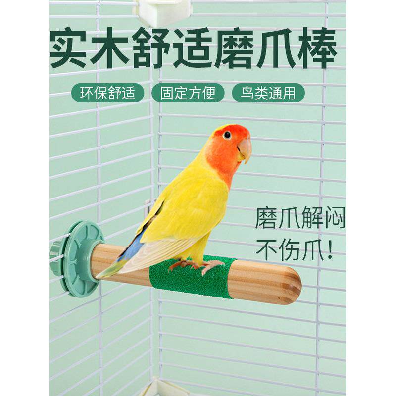 鸟站杆鹦鹉磨爪棒磨砂鸟用站杆站棍鹦鹉站架磨甲器磨嘴鹦鹉用品
