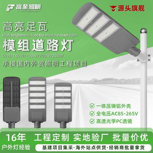 跨境led市电市政路灯100W150W200W小区街道城市道路照明模组路灯