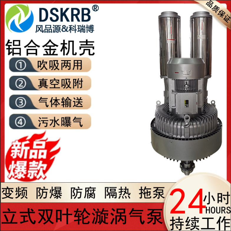 DSKRB高压鼓风机380v15KW真空吸附负压漩涡气泵双段旋涡风机