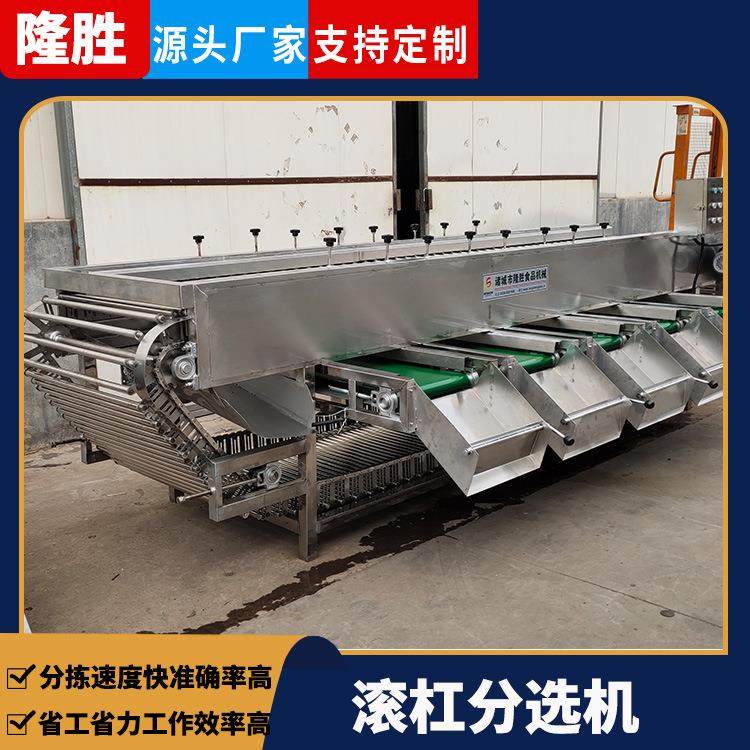 洋葱不锈钢分级机 土豆红薯类大小分级设备 全自动蔬菜滚杠分选机,清洗/食品/商业设备,果蔬加工设备,淘宝优惠券,粉丝福利购,淘宝优惠卷