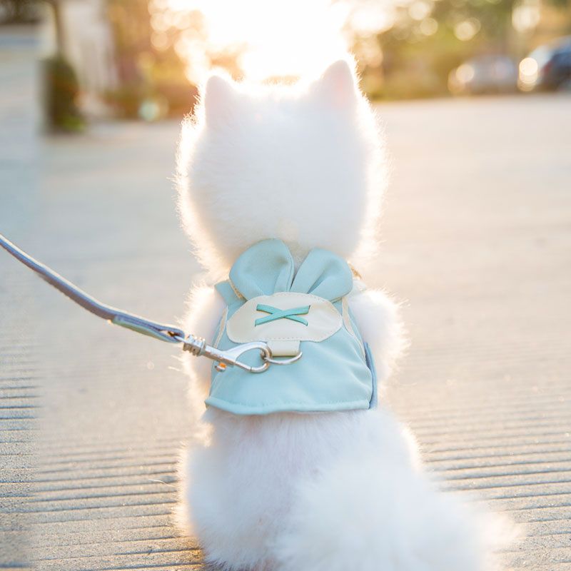背心式狗狗牵引绳遛狗绳狗链背带幼犬小型犬泰迪比熊博美猫咪用品