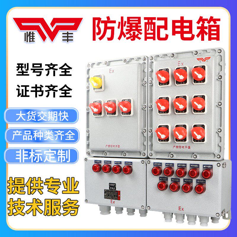 防爆配电箱检修接线箱动力仪表正压柜按钮控制开关端子盒插座箱厂