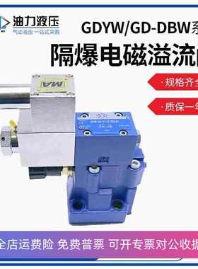 矿用化工防爆电磁溢流阀GDYW-03/06-21-B/D24Z4隔爆液压阀GD-DBW1