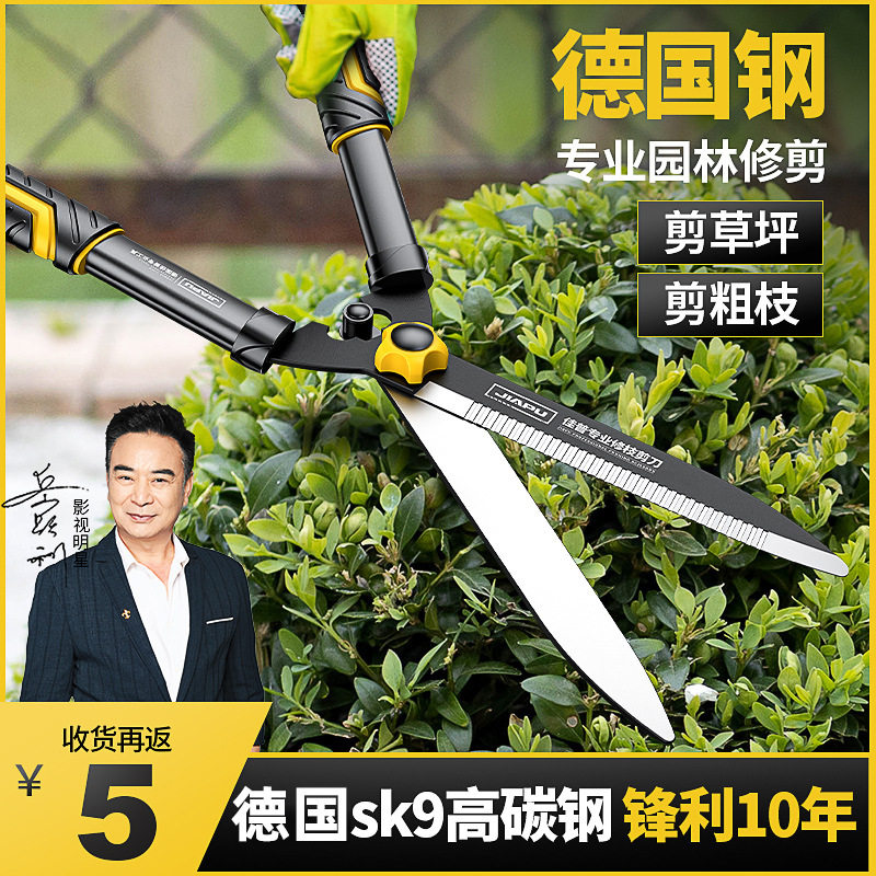 德国品质修枝剪剪树枝专用剪刀大省力园林园艺修花果树绿篱剪树木图片