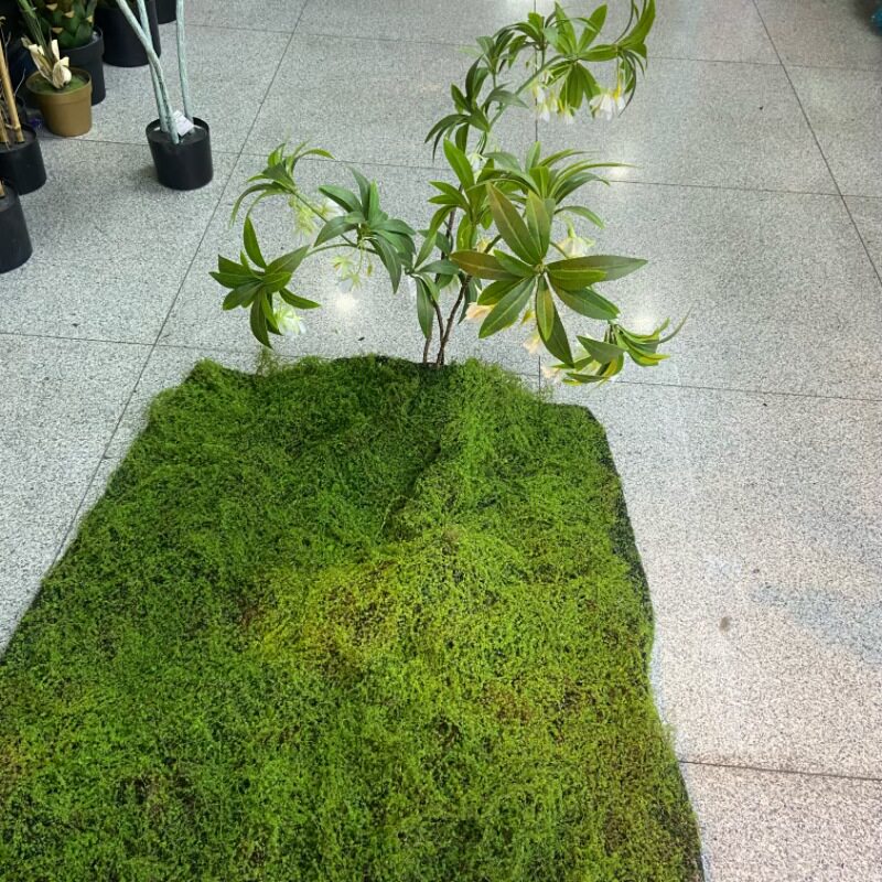 轻奢仿真苔藓草坪人造草坪仿生绿地造景打底配件青苔植物墙装饰