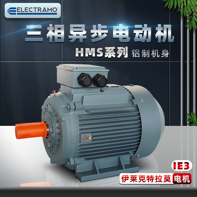 现货比利时ELECTRAMO三相异步感应电动机MS系列立式0.37KW电机