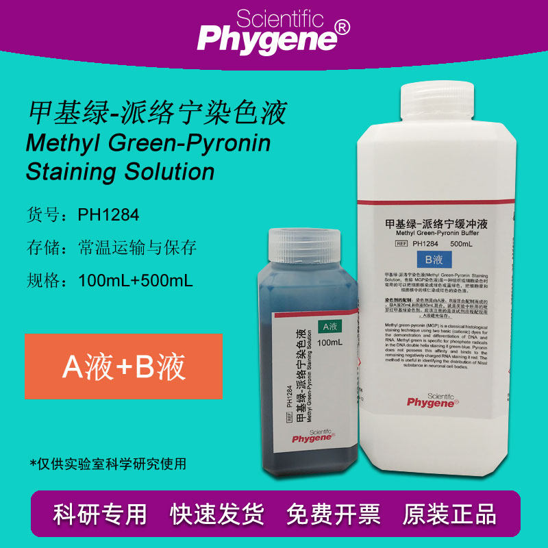 甲基绿-吡罗红(派络宁)染色液 100mL+500mL 核酸染色实验 PHYGENE