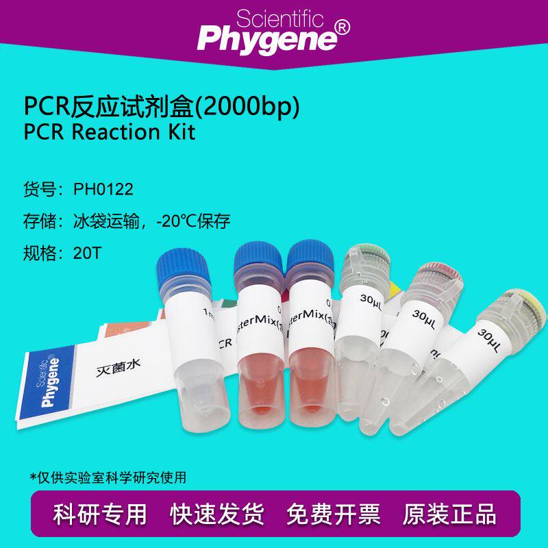 PCR反应试剂盒(2000bp) PCR试剂盒 20T PH0122 PHYGENE