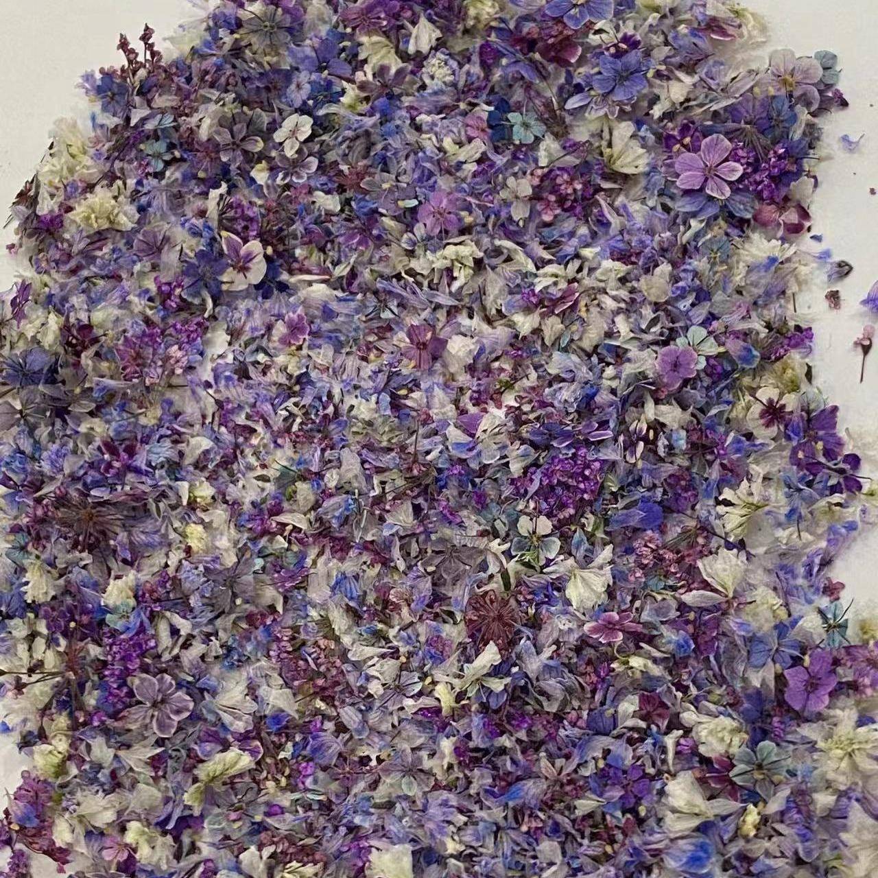 日系小清新混色干花碎花美甲彩色花瓣装饰品指甲配件混装花材