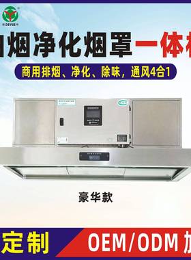 商用油烟净化一体机油烟净化器烟罩一体机德粤风机豪华款
