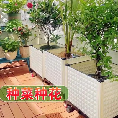 白色花盆花箱种植箱户外庭院种菜专用大号阳台菜盆长方形家用塑料