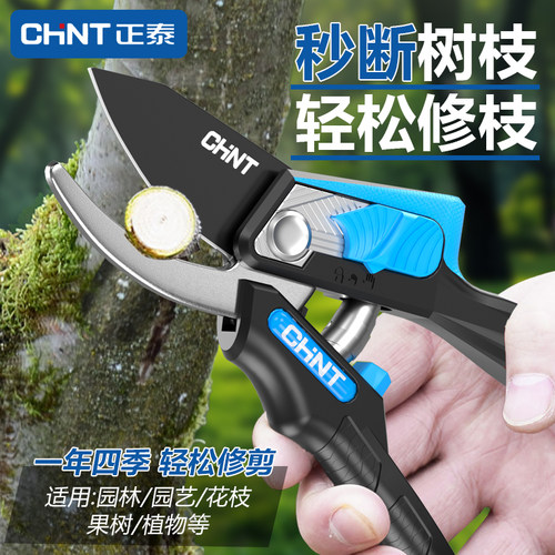 正泰专卖  品质保障