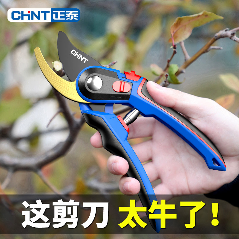 正泰修剪枝园林花艺修剪树枝剪刀果树剪刀强力剪花剪园艺剪子工具,五金/工具,园艺剪,淘宝优惠券,粉丝福利购,淘宝优惠卷